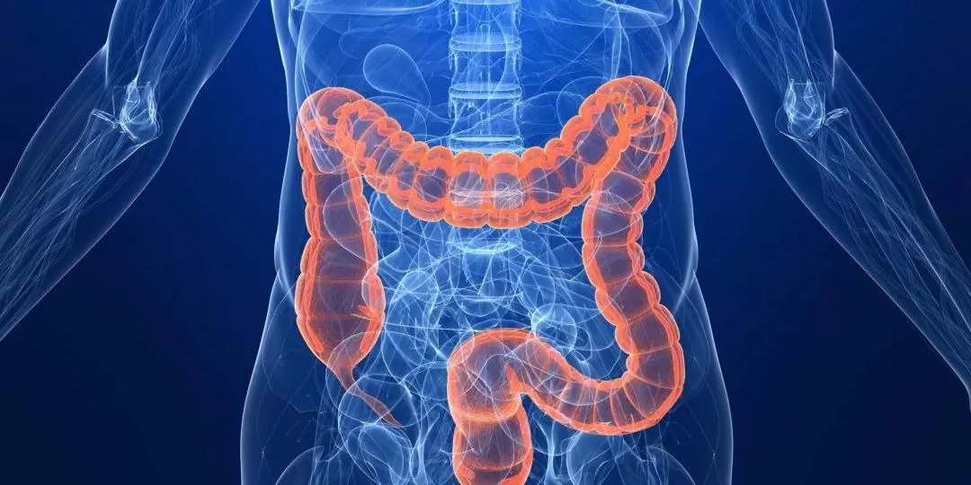 hydrocolon.jpg